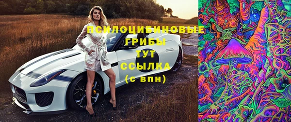 эйфоретик Белоозёрский