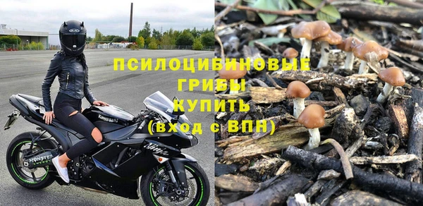 а пвп мука Белокуриха