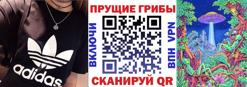 Псилоцибиновые грибы Cubensis  купить   Кузнецк 